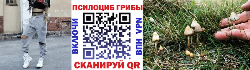 Псилоцибиновые грибы Magic Shrooms  наркотики  Севастополь 